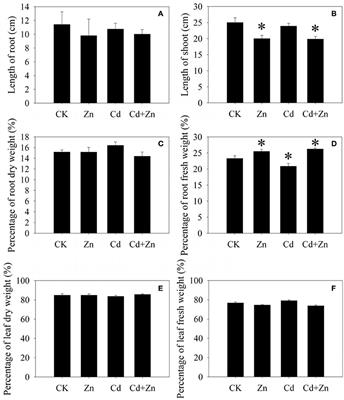 Transcriptomic Profiles Reveal the Interactions of Cd/Zn in Dwarf Polish Wheat (Triticum polonicum L.) Roots